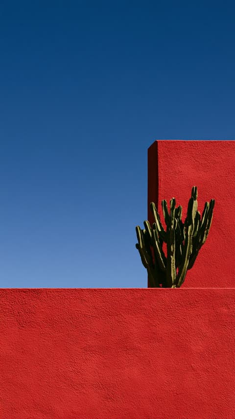 Cactus on a Red Wall: architecture, minimal — AI-generated Architecture image made with Midjourney