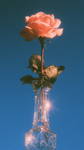 Rose in a Crystal Vase: flowers, rose — AI-generated Photorealistic image made with Midjourney