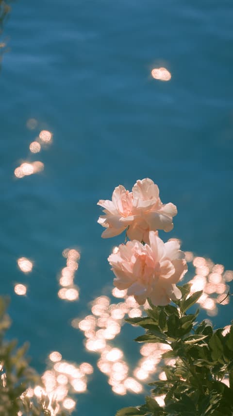 Blooms Over Sparkling Water: flowers, ocean — AI-generated Photorealistic image made with Midjourney