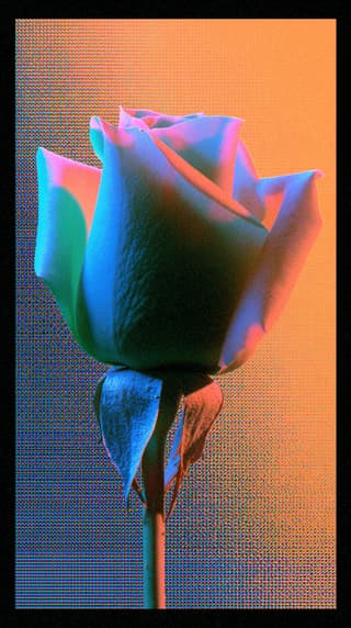 Halftone Rose in Orange: rose, halftone — AI-generated Concept Art image made with Midjourney