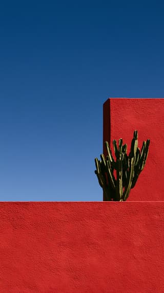 Cactus on a Red Wall: architecture, minimal — AI-generated Architecture image made with Midjourney