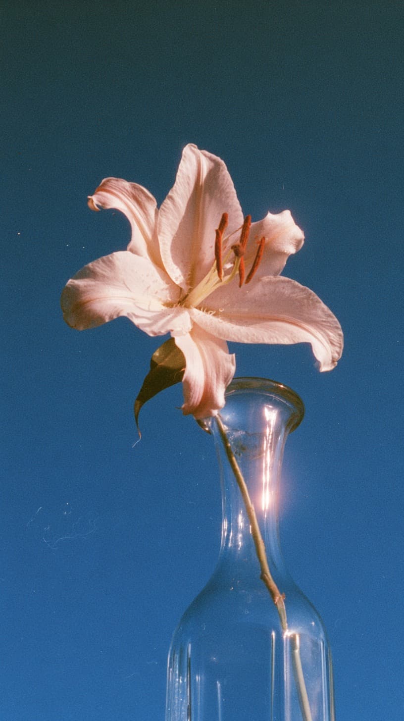 Lily Against Deep Blue: flowers, film grain — AI-generated Photorealistic image made with Midjourney