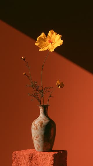 Yellow Cosmos on Terracotta: flowers, minimal — AI-generated Photorealistic image made with Midjourney