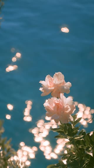 Blooms Over Sparkling Water: flowers, ocean — AI-generated Photorealistic image made with Midjourney