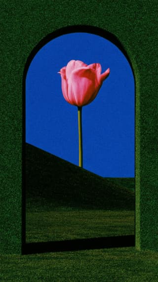 Tulip Through the Green Arch: tulip, arch — AI-generated Concept Art image made with Midjourney